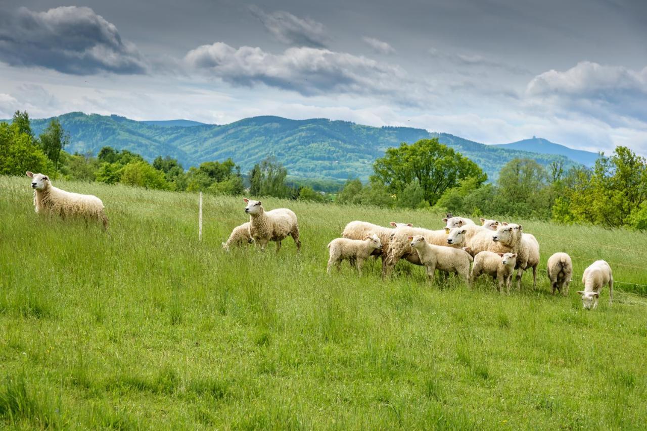 Agroturistika - "Domecek U Ovecek" Villa Horni Terlicko Ngoại thất bức ảnh