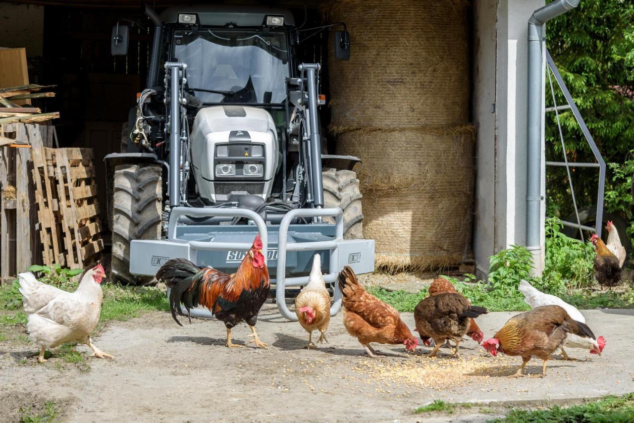 Agroturistika - "Domecek U Ovecek" Villa Horni Terlicko Ngoại thất bức ảnh